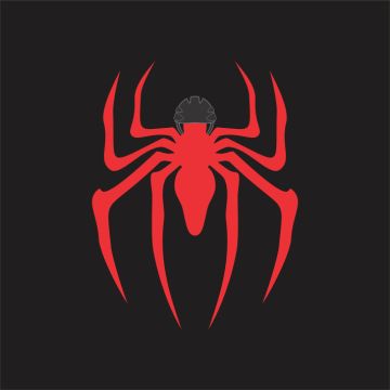 Spider - Lisboa - Design de UI