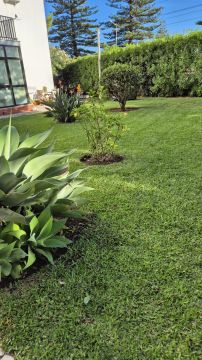 JMC Jardins - Oeiras - Jardinage