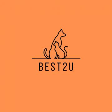 🐾 Looking for a Trusted Pet Sitter and Walker in Porto? Look No Further! 🐾 - Matosinhos - Cat Sitting