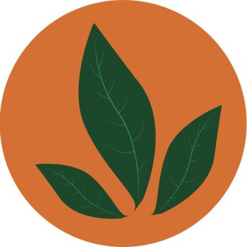 JMC Jardins - Oeiras - Désherbage