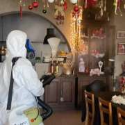 Killpest - Vila Nova de Famalicão - Pest Control Services