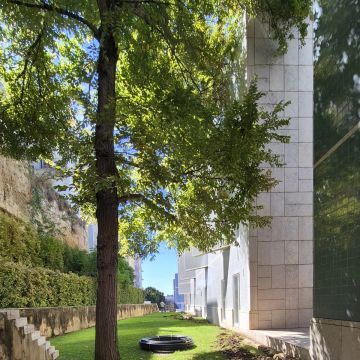 JMC Jardins - Oeiras - Enlèvement d'arbustes