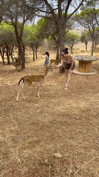 Cerejeira Multiserviços - Vila Real de Santo António - Explicações de Biologia