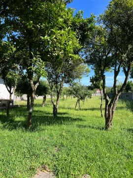 Serviço de Jardinagem