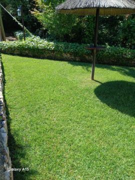 Pomar ( jardinagem e relvas ) - Borba - Gartenarbeit