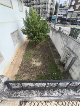Serviço de Jardinagem