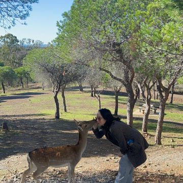 Cerejeira Multiserviços - Vila Real de Santo António - Suporte Administrativo