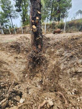 Avrin Jardinagem - Belmonte - Entretien de système d’irrigation goutte à goutte