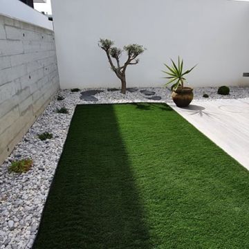 Carlos Martins - Braga - Tree Stump Grinding and Removal