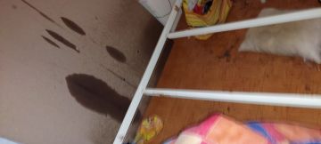 Remodelações