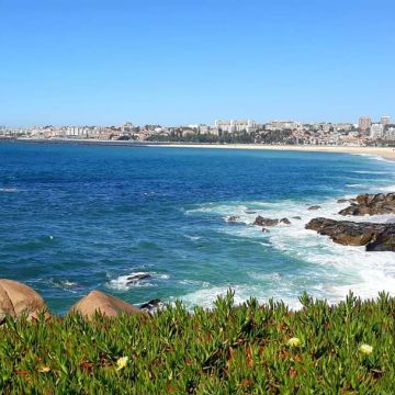 Nessa Costa - Vila Nova de Gaia - Immobilienfotografie