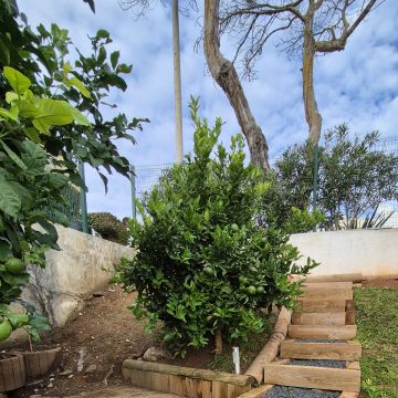 JMC Jardins - Oeiras - Pose de gazon synthétique