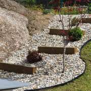 Carlos Martins - Braga - Tree Planting