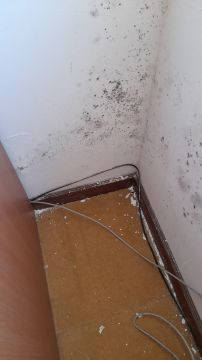Pintor de Casas