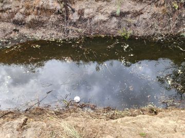 Avrin Jardinagem - Belmonte - Nivellement de terrain grande surface (plus de 1 hectare)