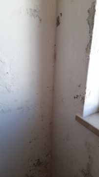 Pintura de Casas