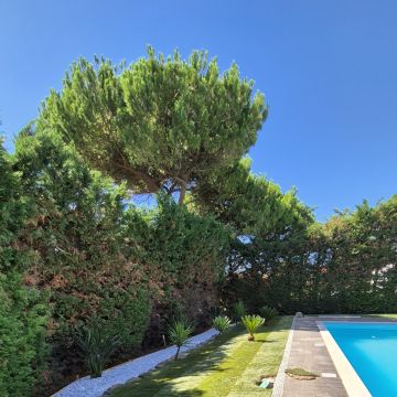 JMC Jardins - Oeiras - Tonte et entretien de pelouse