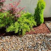 Carlos Martins - Braga - Shrub Removal