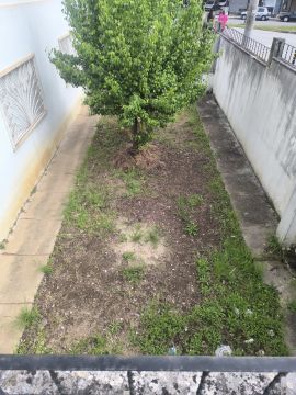 Jardinagem