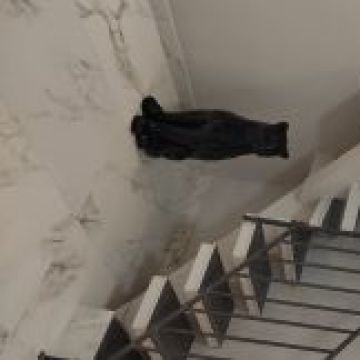 LR Prestação de serviços - Caldas da Rainha - Designer de Interiores