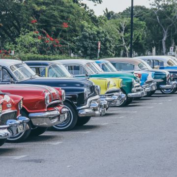 Fi.Arte - Lisboa - Tierfotograf