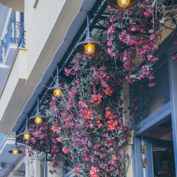 Fi.Arte - Lisboa - Eventfotografie