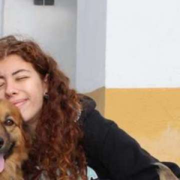 Maria Pereira - Alenquer - Promenade de chiens