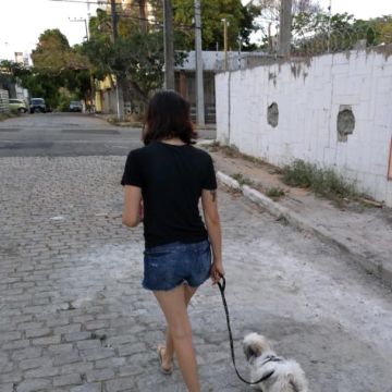 Cerejeira Multiserviços - Vila Real de Santo António - Dog Sitting