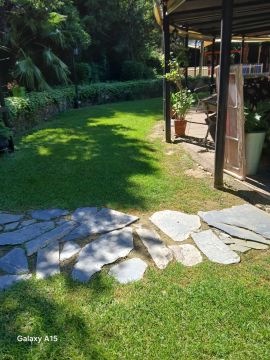 Pomar ( jardinagem e relvas ) - Borba - Gartenarbeiten