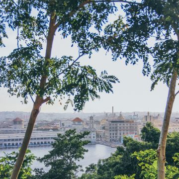 Fi.Arte - Lisboa - Familienportrait