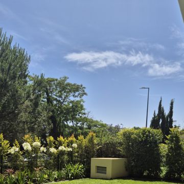 JMC Jardins - Oeiras - Enlèvement de souches d’arbres