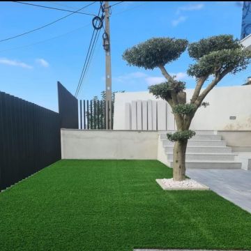 Carlos Martins - Braga - Gardening