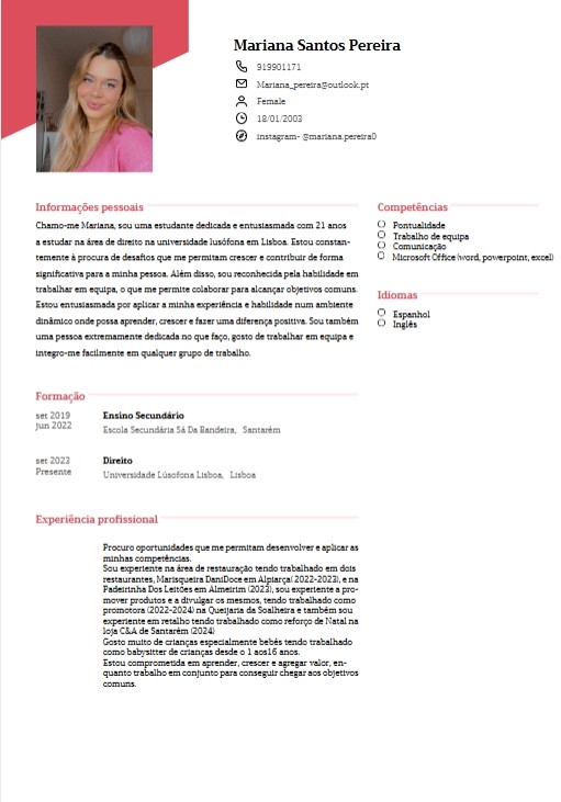 mariana santos - Amadora - Handyman