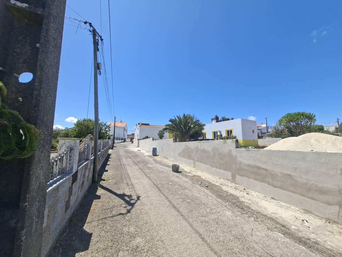 Edson Jesus - Setúbal - Remoção de Arbustos