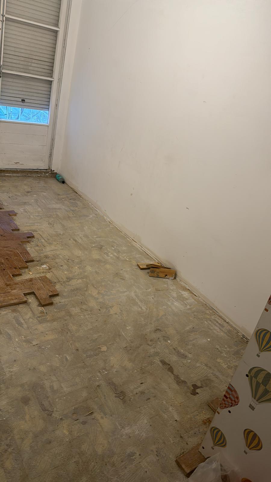 Edson Jesus - Setúbal - Pet Sitting and Walking