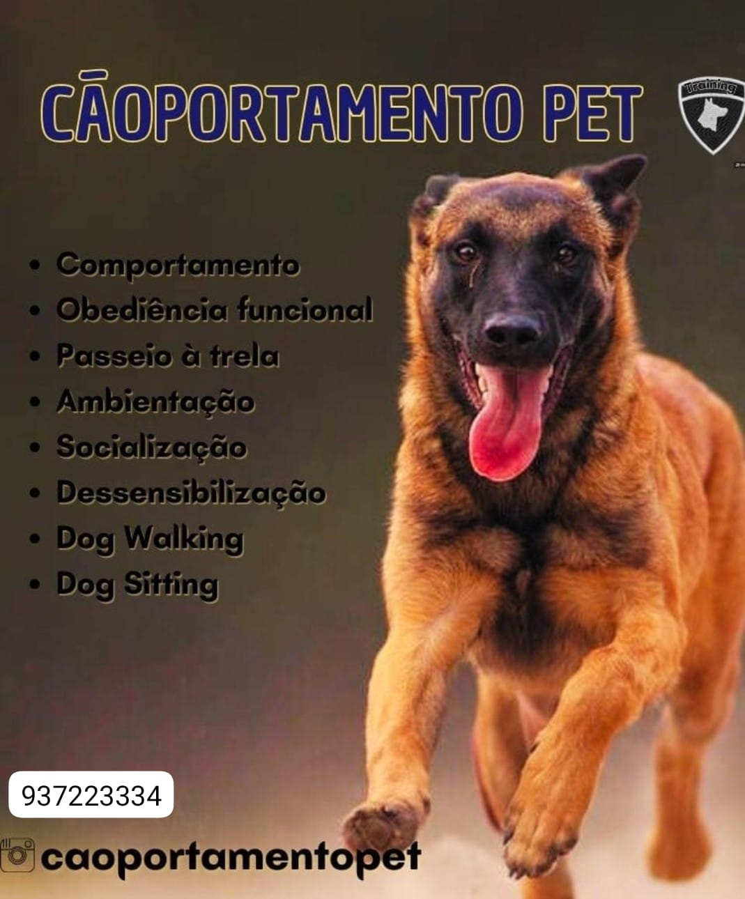 Cláudio Pereira - Lousada - Pet Sitting e Pet Walking