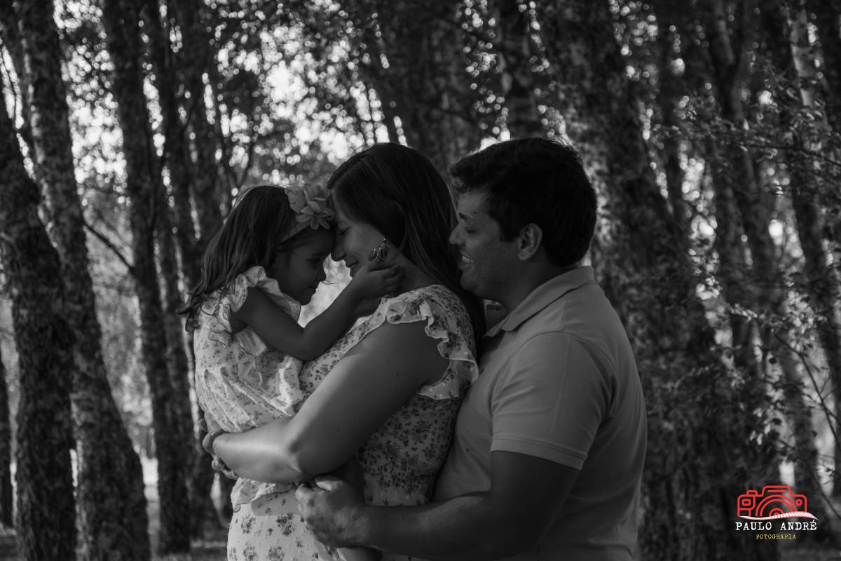 Paulo André Fotografia - Penedono - Marketing digital