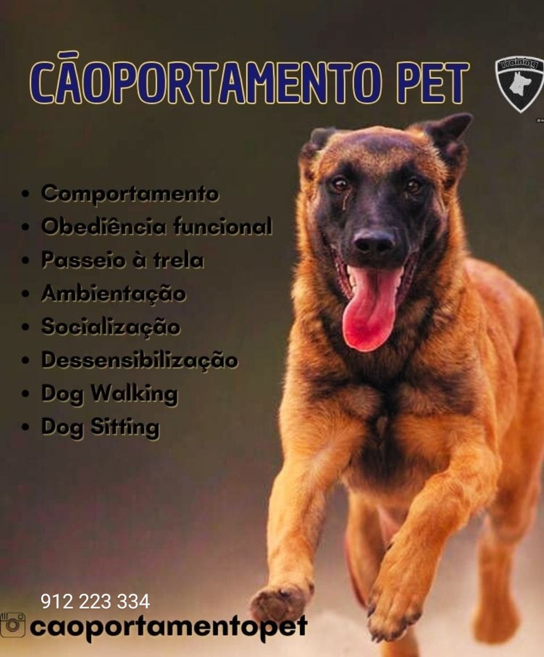 Cláudio Pereira - Lousada - Dog Walking