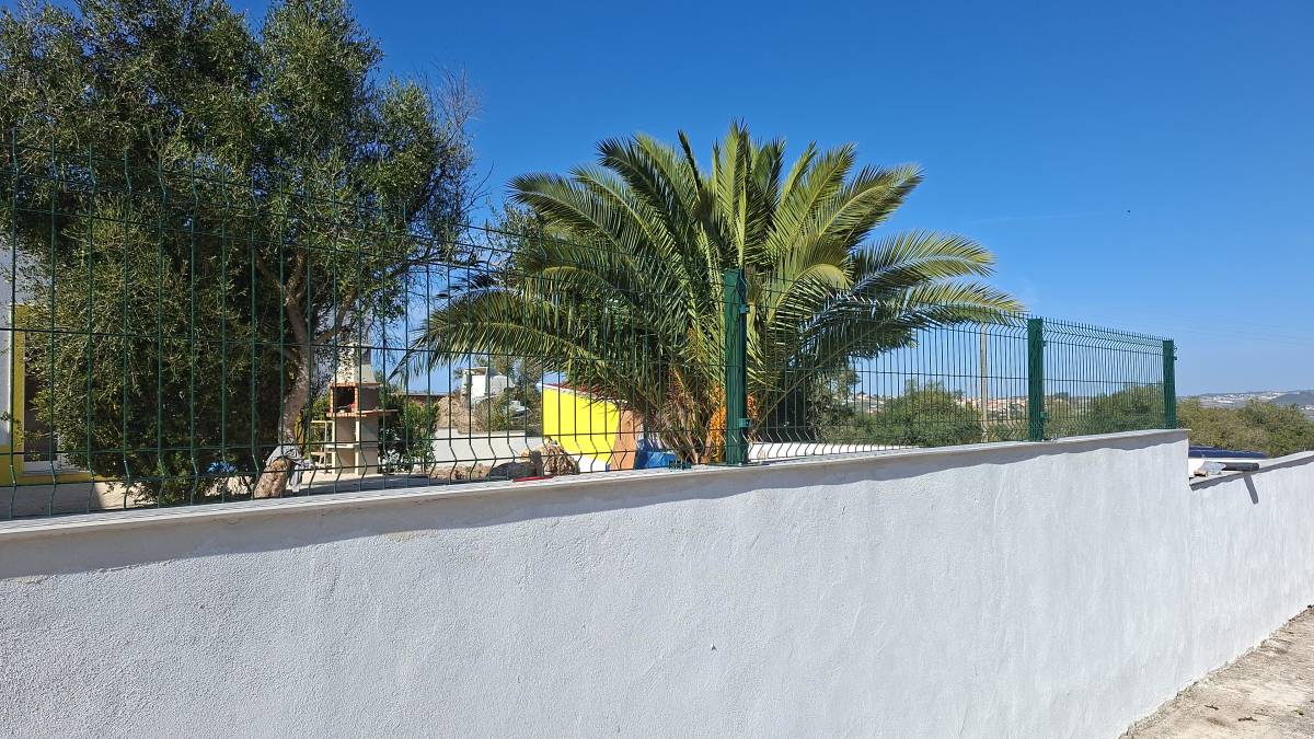 Edson Jesus - Setúbal - Élagage et entretien des arbres