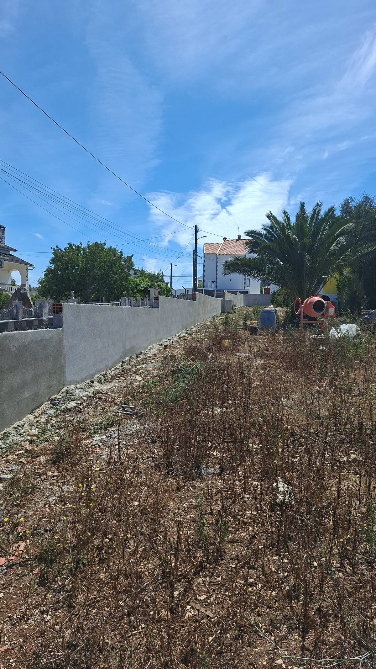 Edson Jesus - Setúbal - Poda e Manutenção de Árvores