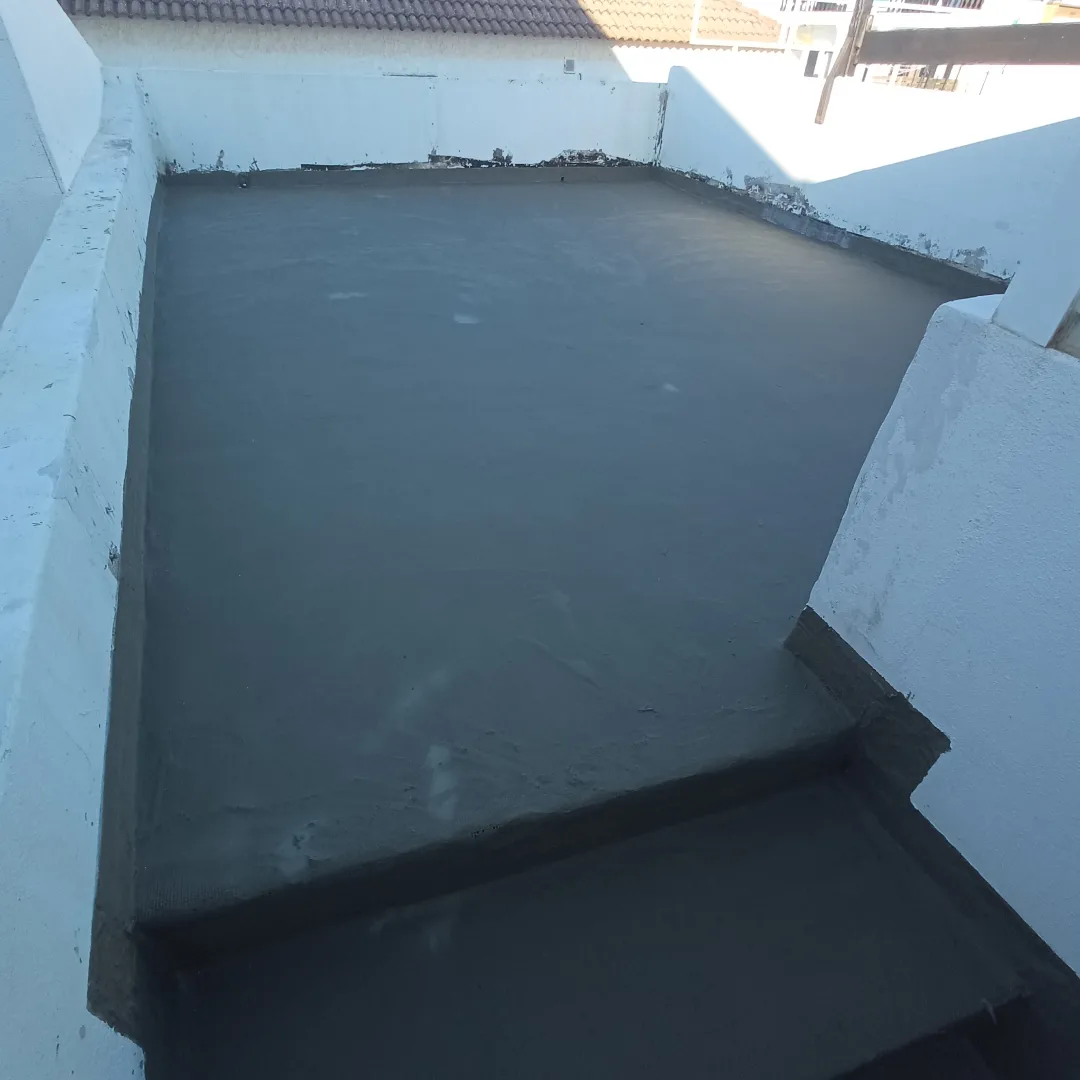 Eduardo Pêgo Construção lda. - Caldas da Rainha - Fenstergitter / Fensterschutz