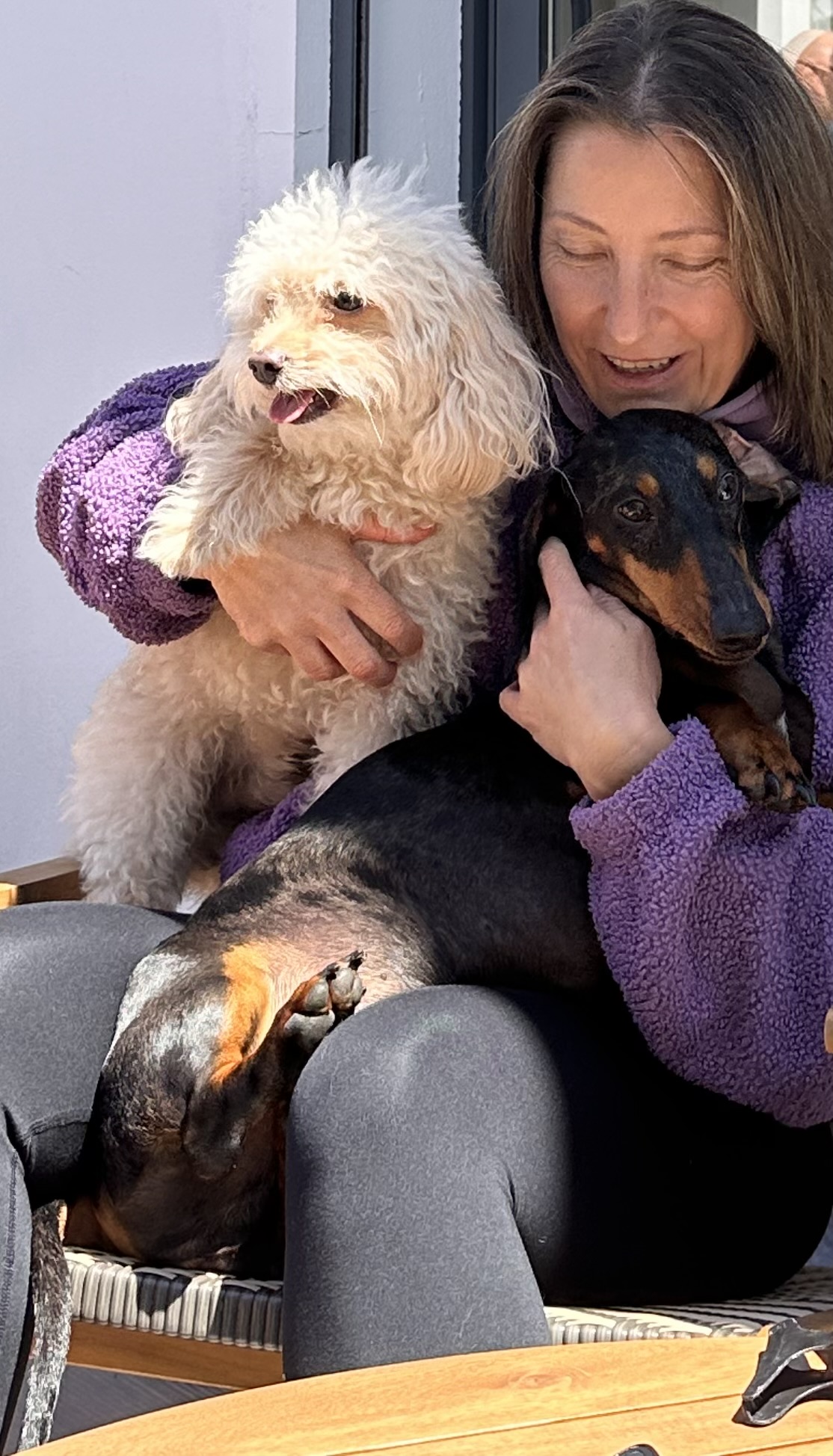 Vila Alegria Dogs - Sesimbra - Dog Hotel