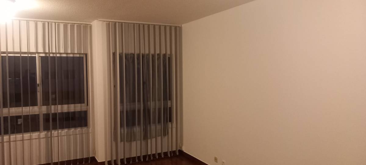 Edson Jesus - Setúbal - Limpa-neves (Residencial)