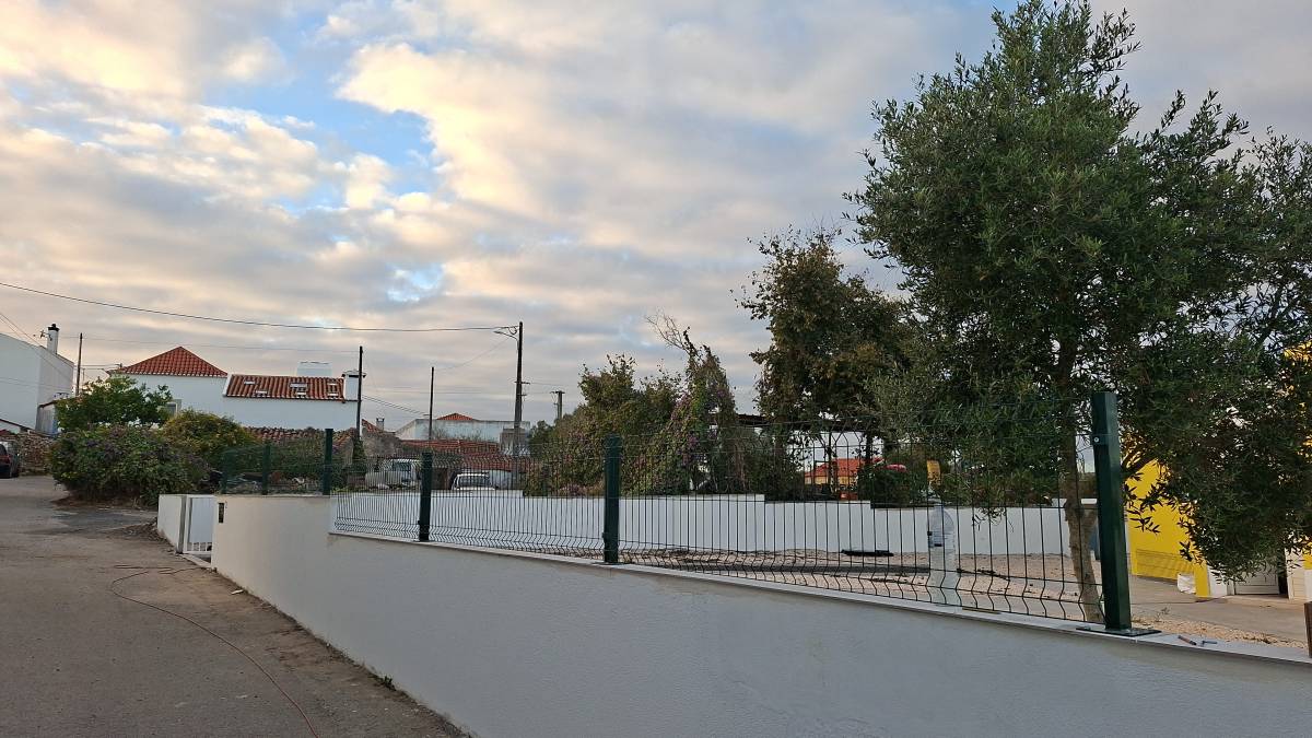 Edson Jesus - Setúbal - Enlèvement d'arbustes