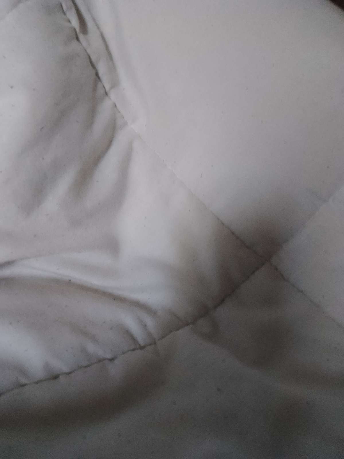 Jonémia - Coimbra - Domestic Work