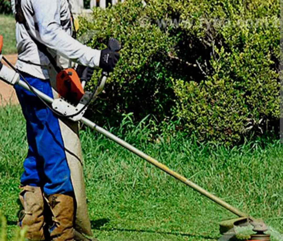Domingos - Maia - Lawn Mowing and Trimming