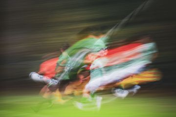 Rafael Lomba - Vila Verde - Pet Photography