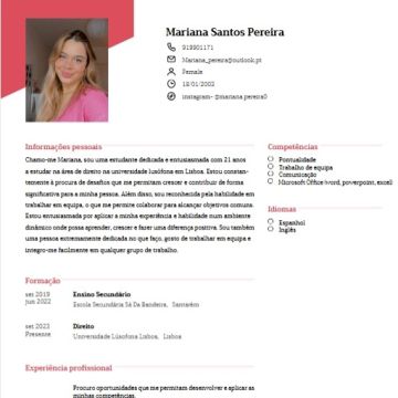 mariana santos - Amadora - Handyman