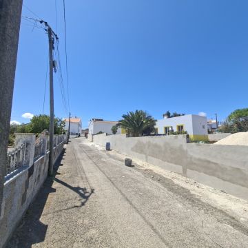 Edson Jesus - Setúbal - Remoção de Arbustos