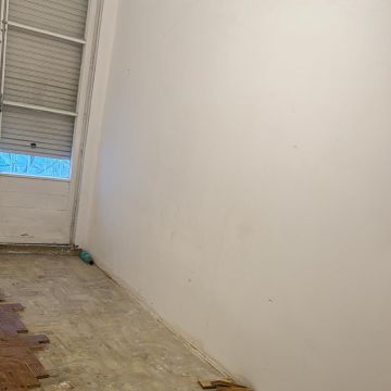 Edson Jesus - Setúbal - Pet Sitting and Walking